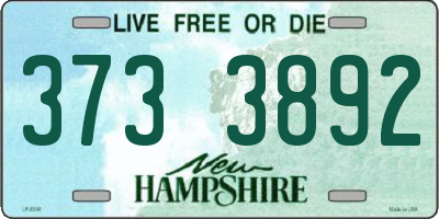 NH license plate 3733892