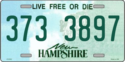 NH license plate 3733897