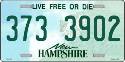 NH license plate 3733902