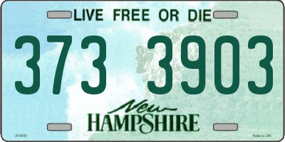 NH license plate 3733903