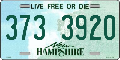 NH license plate 3733920