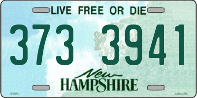 NH license plate 3733941