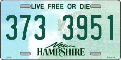 NH license plate 3733951