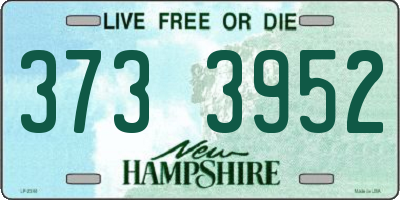 NH license plate 3733952
