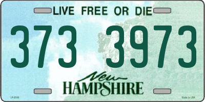NH license plate 3733973