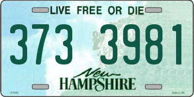 NH license plate 3733981