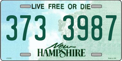 NH license plate 3733987