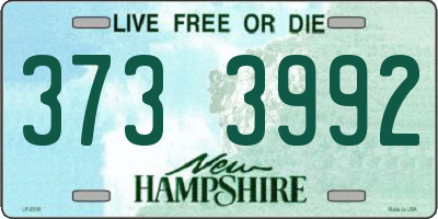NH license plate 3733992
