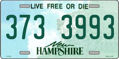 NH license plate 3733993