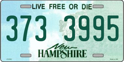 NH license plate 3733995