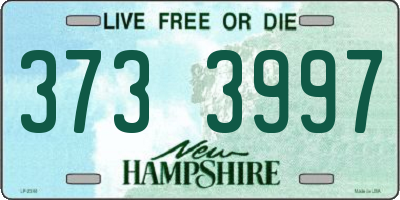 NH license plate 3733997