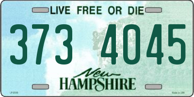 NH license plate 3734045