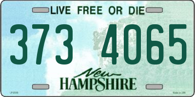 NH license plate 3734065