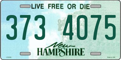 NH license plate 3734075