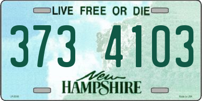 NH license plate 3734103