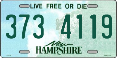 NH license plate 3734119