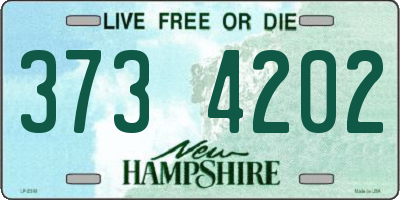 NH license plate 3734202