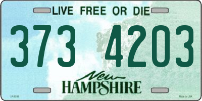 NH license plate 3734203