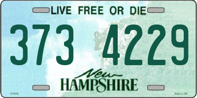 NH license plate 3734229