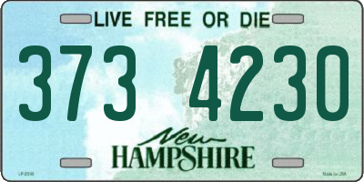 NH license plate 3734230