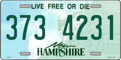 NH license plate 3734231