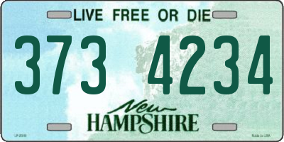 NH license plate 3734234