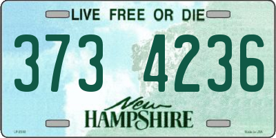 NH license plate 3734236