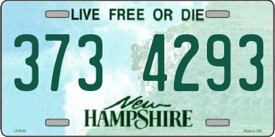 NH license plate 3734293