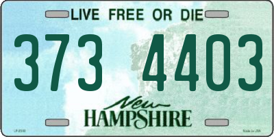 NH license plate 3734403
