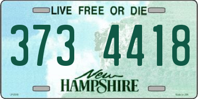 NH license plate 3734418