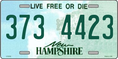 NH license plate 3734423