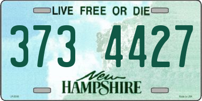 NH license plate 3734427