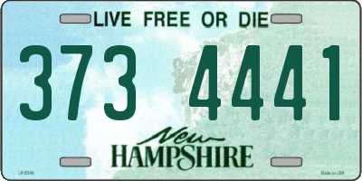 NH license plate 3734441