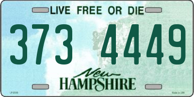 NH license plate 3734449