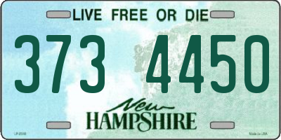 NH license plate 3734450