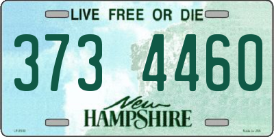NH license plate 3734460