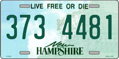 NH license plate 3734481