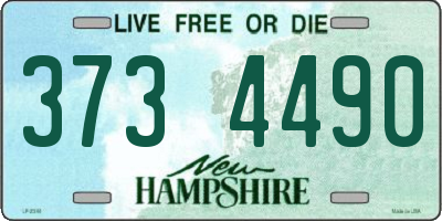 NH license plate 3734490