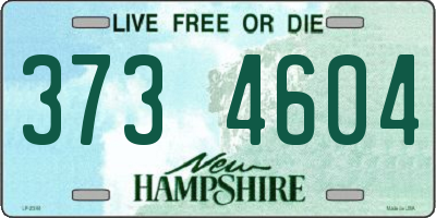 NH license plate 3734604