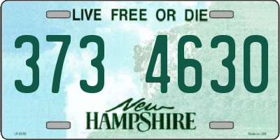 NH license plate 3734630