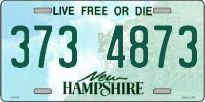 NH license plate 3734873