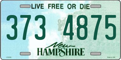 NH license plate 3734875