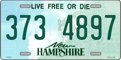 NH license plate 3734897