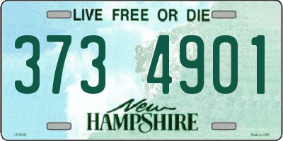 NH license plate 3734901