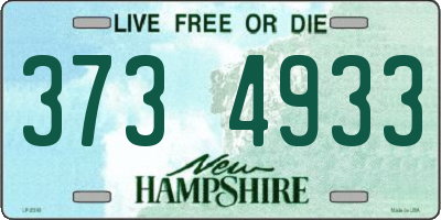 NH license plate 3734933
