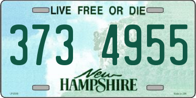 NH license plate 3734955