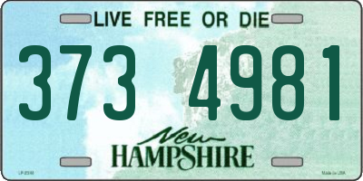 NH license plate 3734981