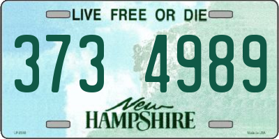 NH license plate 3734989