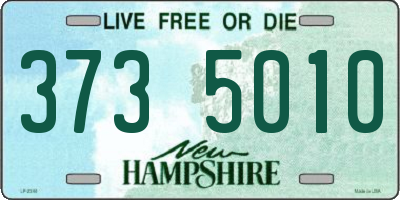 NH license plate 3735010