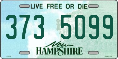 NH license plate 3735099